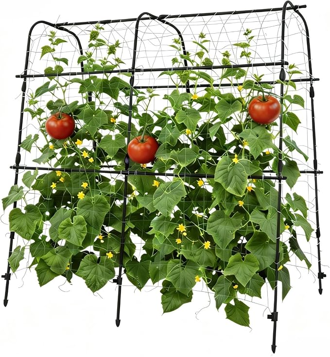 5.3x5.3FT Garden Arch Trellis for Raised Beds, Heavy Duty u-Shaped Plant Support for Climbing Vegetables, Fruits & Vines, Outdoor Rust-Resistant Metal Trellis for Vertical Growing, Black