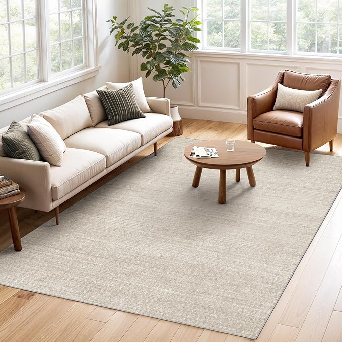 Valenrug 4x6 Area Rug for Entryway, Non Slip Washable Bedroom Rug, Beige | Soft Low Pile, Thin & Lighweight Carpet, Folable Stain Resistant Modern Indoor Floor Mat for Living Room,Hallway, Home Decor