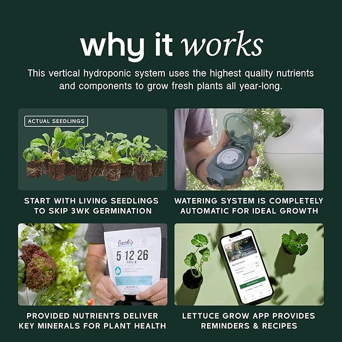 Lettuce Grow Farmstand Medium Starter Kit with Glow Rings + 24 Seedling Credits | 4 ft 10 in Vertical Hydroponic Garden Tower | Self-Watering Indoor Growing System for Herbs & Greens