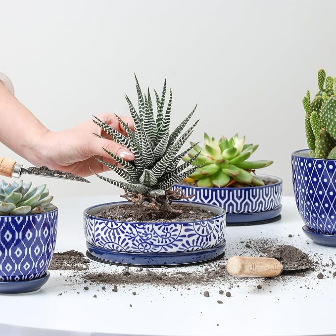 Selamica Ceramic Succulent Pots, Shallow Succulent Planters with Drainage Hole & Saucer, Indoor Plant Pots for Cactus, Home Decor，Vintage Blue,6 inch