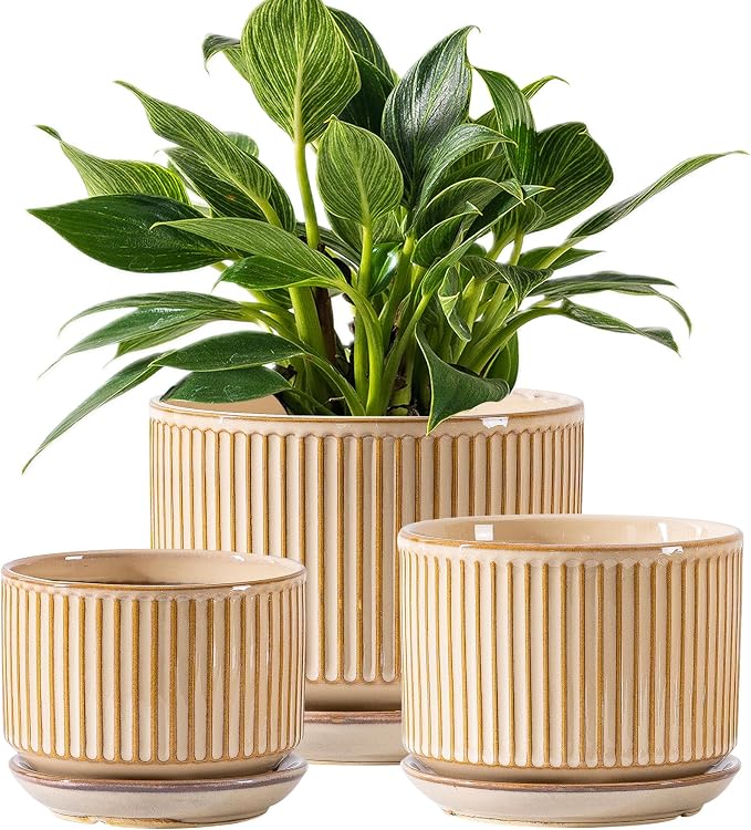 SURE YUESI Ceramic Plant Pots Set of 3, Indoor Outdoor Planters with Drainage Hole and Saucer, Ceramic Flower Pots for Indoor Plants, 4.3+5.5+6.8 Inch, Home, Garden, Patio and Office, Glossy Beige
