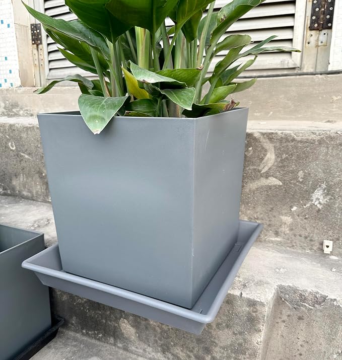 NIMYAU Square Plant Saucer 6 Inch 5 Pack6 8 12 14 16 18 20 Plastic Plant Saucers for Indoors Outdoors, Flower Pot No Holes Plant Drip Trays, Plant Trays for Pots Heavy Duty