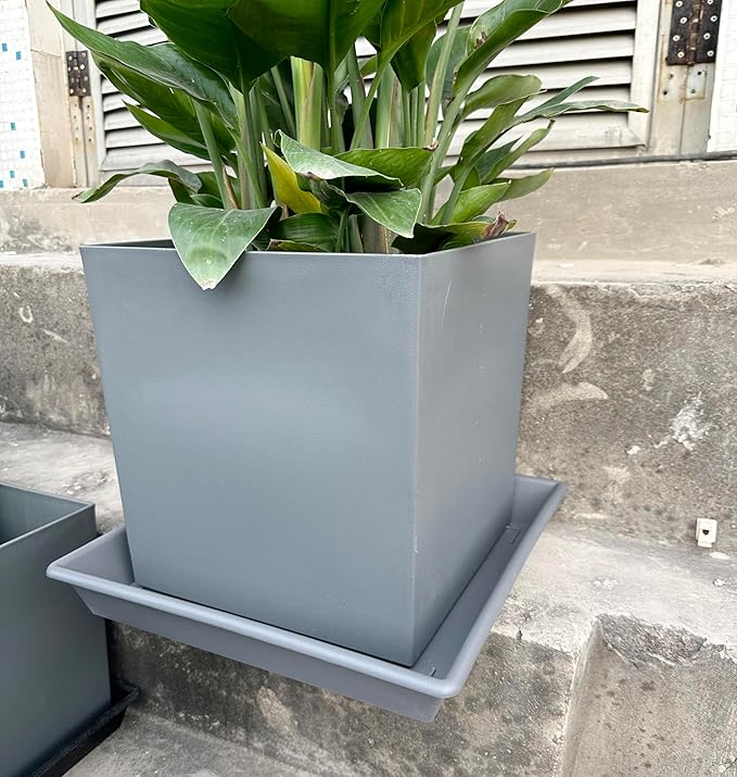 NIMYAU Square Plant Saucer 12 Inch 5 Pack, Plant Stand Plant Trays for Pots Heavy Duty Gray Plastic Plant Saucers for Indoors Outdoors, Flower Pot No Holes Plant Lover Gardening Gifts