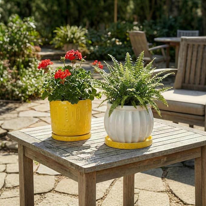 Eightpot Plant Water Catcher Tray 7.5 Inch, 2 Pack Ceramic Plant Saucers for Indoors Outdoors, Round Plants Plates to Catch Water, Modern Decorative Plants Dishes to Catch Water, Yellow