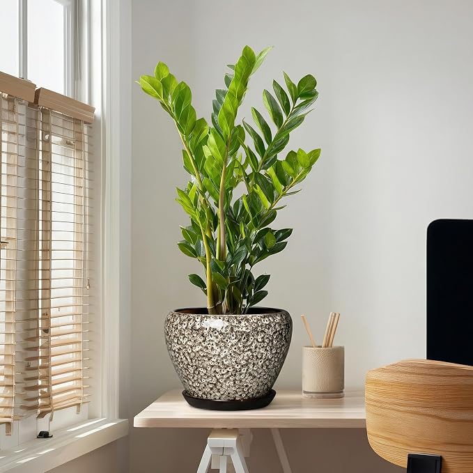 Ceramic Pots for Plants - 10 Inch Planters for Indoor Outdoor Plants, Decorative Plant Pots with Drainage Hole and Saucer, Large Plant Pot, Living Room Decor, Gardening Gifts, White Leopard
