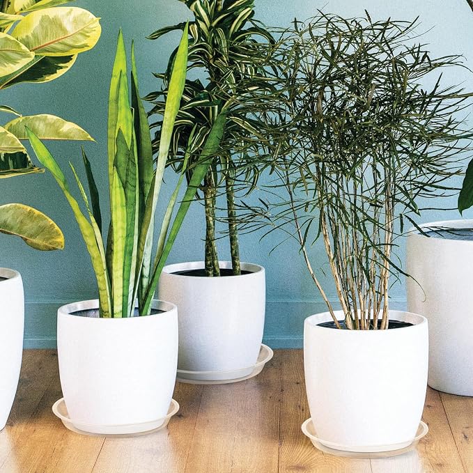 4 6 8 10 12 14 16 18 20 22 Inch Clear Plant Saucer, 5 Pack Durable Plastic Water Catcher Trays for Flower Pots, Plant Drip Trays for Indoor Outdoor Planter(4inch)