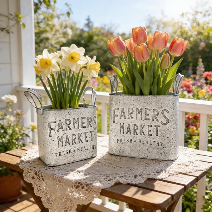 Vintage Metal Flower Planter Buckets with Handle Set of 2 Rustic Metal Flower Pots Farmhouse Plant Containers for Herb Succulent, Indoor Outdoor Garden Home Yard Bathroom Kitchen Decor (White)