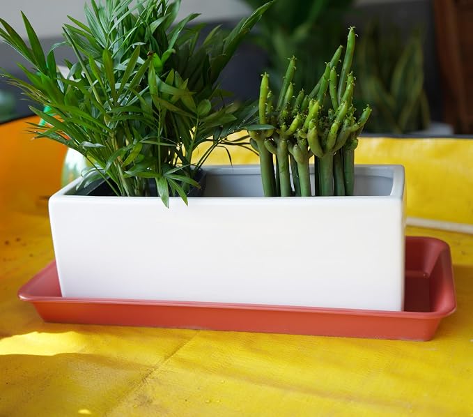 VUWEZ 2 Pack of Plastic Plant Tray Saucer Rectangular, Plant Trays Saucers for Indoors Outdoor, Plant Drip Tray for Flower Pot Planter, Windowsill Plant Tray (6 X 11 Inch, Terracotta)