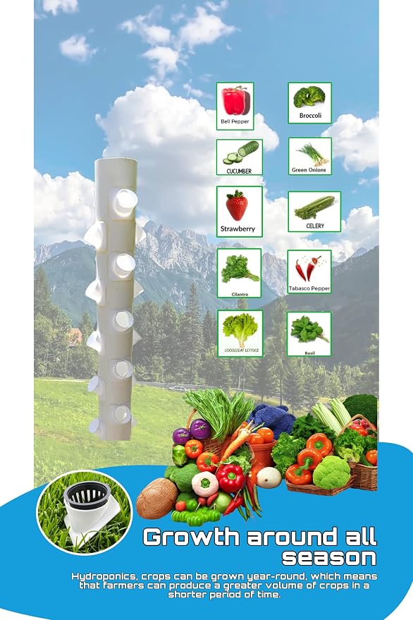 (27 Pack) of 2-inch Net Pot Holders - Hydroponics Growing System - Aeroponic Tower Garden for Indoor Gardening - Grow Herbs, Fruits & Vegetables Fit Snugly On 4inch Square PVC Made in USA