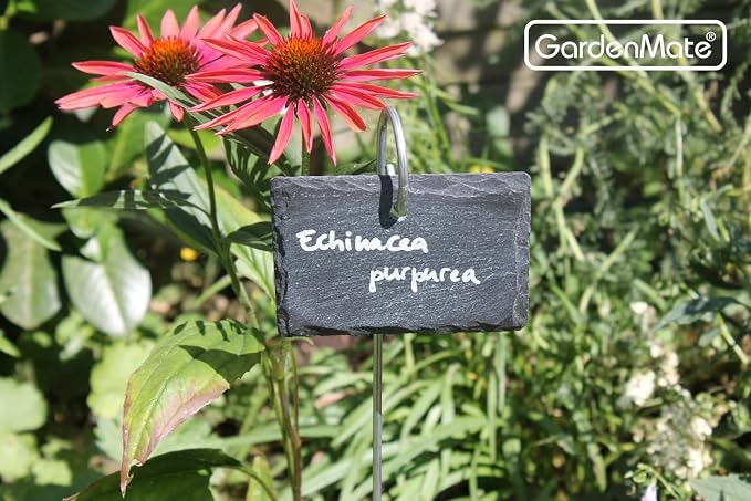 GardenMate 10-Pack Natural Style Slate Plant Labels (4" x 2 3/4") Hanging from a Stainless Steel Metal Rod (22")