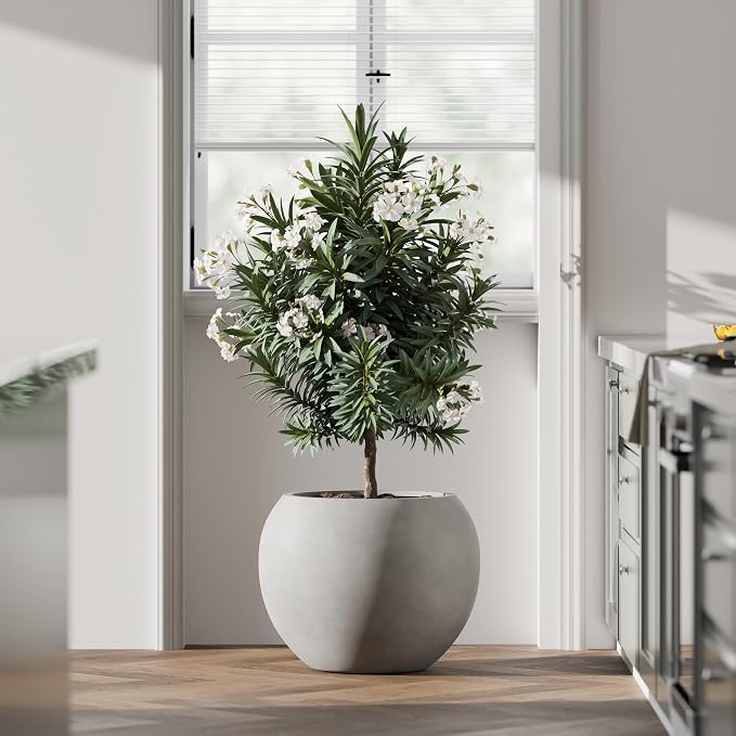 DTY Premium Mt Sherman Fiberstone Sphere Planter for Indoor Outdoor Use, Round Pot for Olive Tree, Lightweight, Smooth Finishes. 2 Extra Coco Mats. Gray, Small 12.6" D x 10'' H. 8.5” Pot Opening