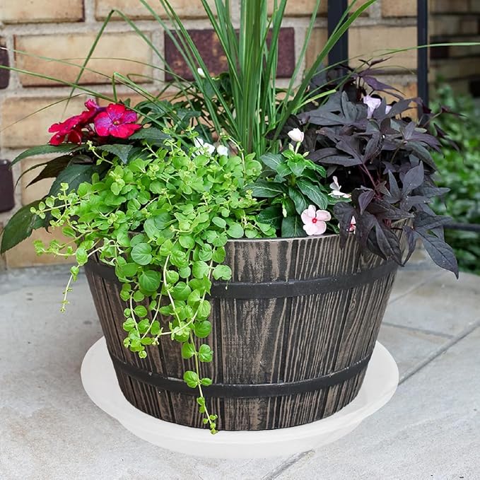 6 Pack of 12 inch Clear Plant Saucer Plant Tray, Plastic Plant Saucer 12 inch, Heavy Duty Clear Plant Tray for Pots, Plant Saucers for Indoors Planter, Garden Water Plate Bowls 10"/11"/12"