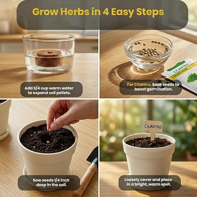 47 PCS Herb Garden Seeds Starter Kit, 10 Non-GMO Culinary Herb Seeds with Beige Pots & Planters for Windowsill, Herb Growing Kit Indoor & Outdoor, Unique Herb Garden Gift Set for Gardening Lovers