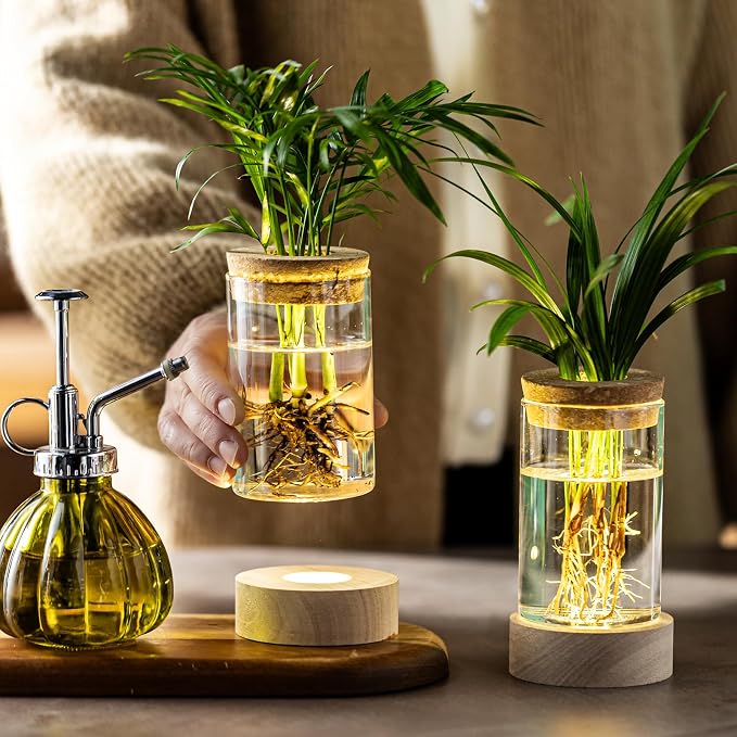 Glass Plant Propagation Stations, Propagation Vases for Plants with Ambient Light Base, Hydroponic Vase for Home & Office Windowsill Tabletop Decoration Desktop Vases for Living Room, Bedroom (4)