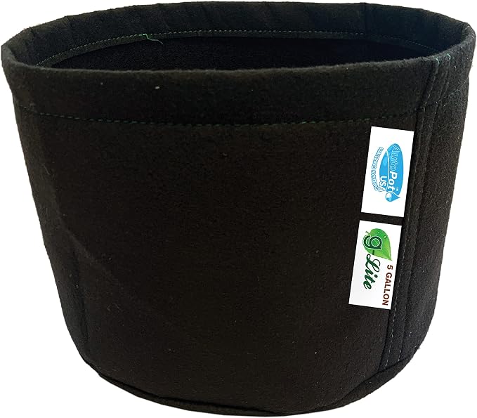 AutoPot 6 Pot GeoPot System with 3 Gallon Fabric Pots - Self-Watering, Gravity-Fed Hydroponic System (6Pot with 25 gal Flexi Tank) Indoor, Black