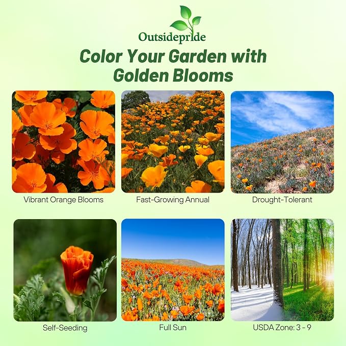 Outsidepride Eschscholzia Orange California Poppy Seeds - 5 lbs. Annual, Native, Drought Tolerant Wildflower Seeds w/Vibrant Blooms for Full Sun & Drought-Tolerant Pollinator-Friendly Gardens