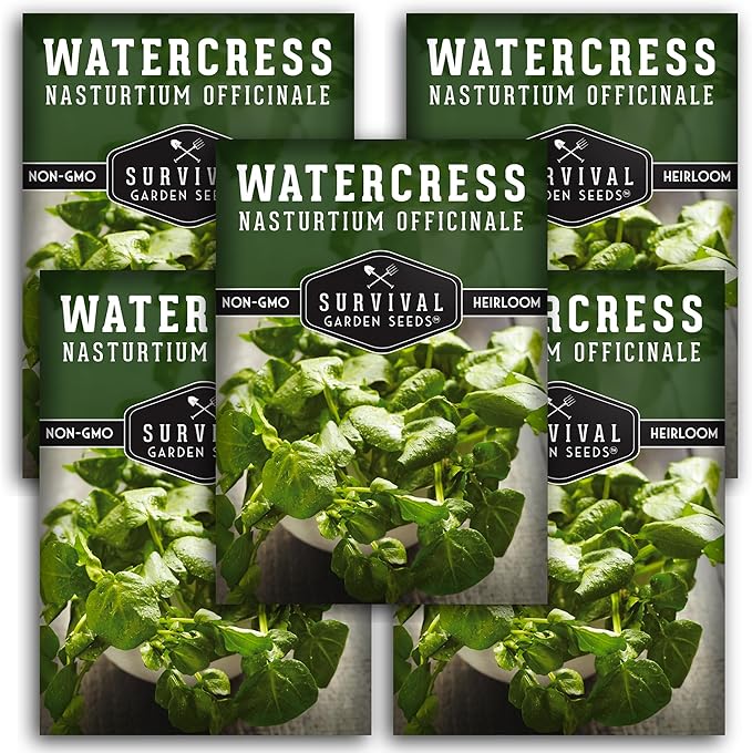 Watercress Seeds for Planting - Heirloom Aquatic Herb Greens - Non-GMO Nasturtium Officinale for Hydroponic Growing - Survival Garden Seeds (5 Packs)