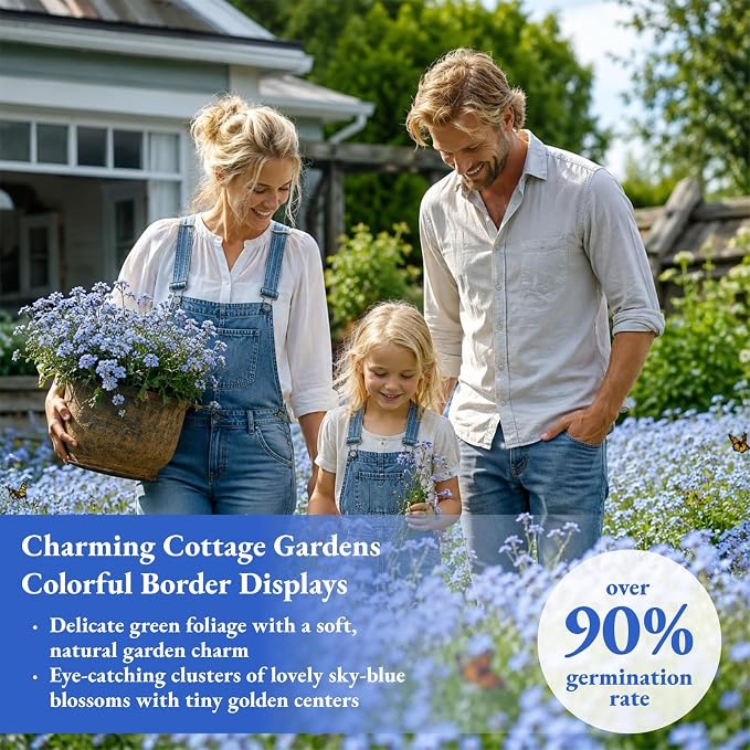 10,000+ Forget-Me-Not Seeds Bulk for Planting - Cynoglossum amabile Blue Flower Seeds, Large Pack for Cottage Gardens, Beds, Borders & Naturalized Areas, Pollinator Friendly