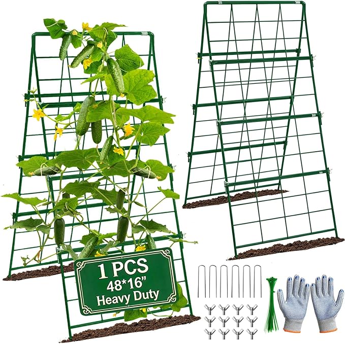 Heavy Duty Cucumber Trellis Thickened for Raised Garden Bed,48"x16" Foldable Frame Metal Vegetable Trellis for Climbing Plants Outdoor Plant Support for Grape Tomato Peas, Fruit, Vine,Bean(1 Pack)