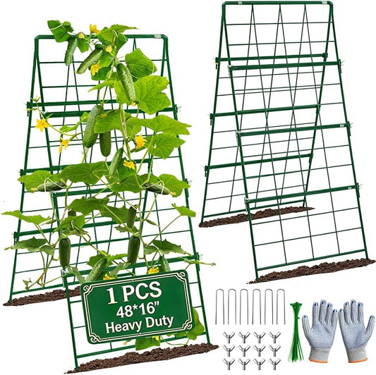 Heavy Duty Cucumber Trellis Thickened for Raised Garden Bed,48"x16" Foldable Frame Metal Vegetable Trellis for Climbing Plants Outdoor Plant Support for Grape Tomato Peas, Fruit, Vine,Bean(1 Pack)
