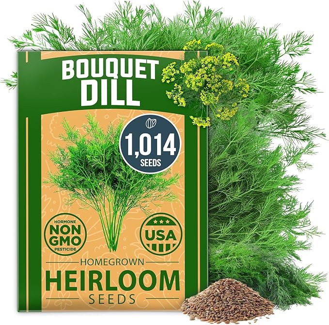 Non-GMO Dill Seeds for Planting