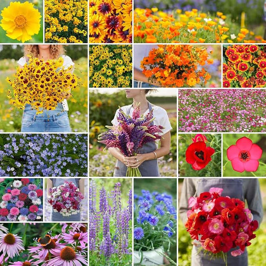 Eden Brothers Burst of Bloom Wildflower Mixed Seeds for Planting, 25 lb, 12,000,000+ Seeds with Cosmos, Black Eyed Susan | Attracts Pollinators, Plant in Spring or Fall, Zones 3, 4, 5, 6, 7, 8, 9, 10