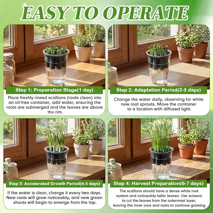 2 Pack Green Onion Planter Scallion Grower Seed Sprouting Kit Compatible with Regular Mouth Mason Jar for Windowsill Garden, Hydroponics, and Propagation Hydroponics Enthusiasts (Black)