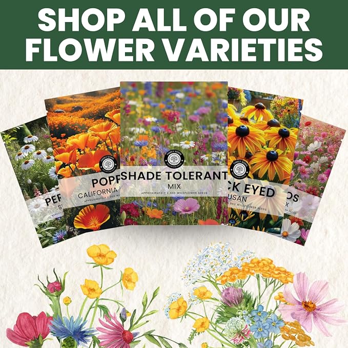 Shade Tolerant Mix – 14,000 Wildflower Seeds for Pollinator Gardens – 2026 Season – 1 Ounce Pouch