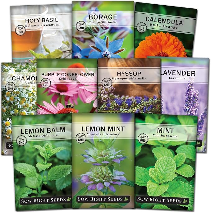 Sow Right Seeds - Large Herbal Tea Garden Seed Collection for Planting - Lemon Balm, Mint, Chamomile, Lavender, Echinacea, Borage, Hyssop, Calendula, and Holy Basil Tulsi - Non-GMO Heirloom to Grow