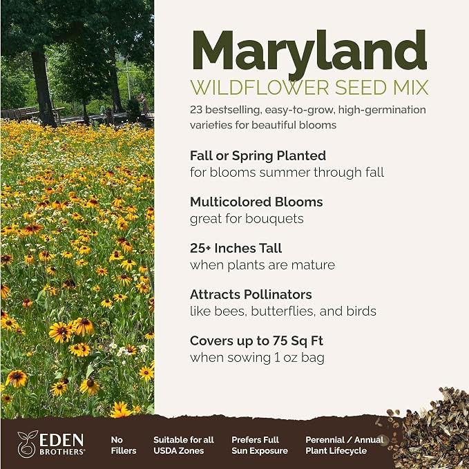 Eden Brothers Maryland Wildflower Mixed Seeds for Planting, 1 oz, 30,000+ Seeds with Shasta Daisy, Cornflower | Attracts Pollinators, Plant in Spring or Fall, Zones