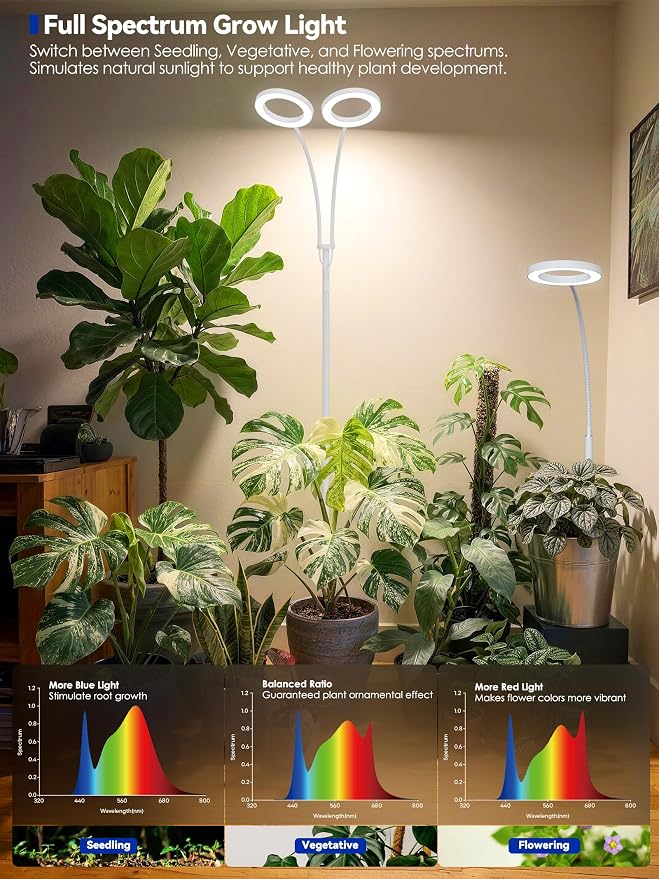 GLOWRIUM Grow Lights for Indoor Plants, Full Spectrum LED Grow Light Floor Lamp with Stand Adjustable Height and Angle, Black Plant Light with 3/9/12H Grow Light Timer (White, Single Head)