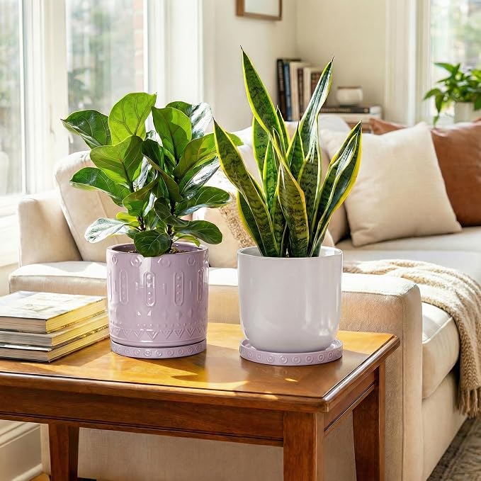 Eightpot 2 Pack Plant Trays for Pots, 7.5 Inch Plant Plates to Catch Water for Indoor Outdoor, Round Plants Water Catcher Tray, Boho Flower Pot Saucer, Decorative Plants Dishes to Catch Water, Purple