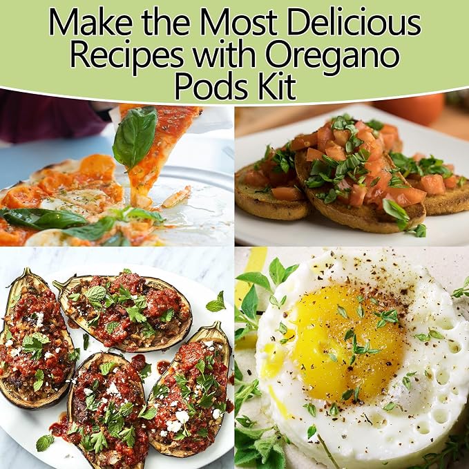 Oregano Seed Pods for All Hydroponics Growing Systems, 12 Pods Herb Kit with 600+ Seeds of Oregano, Grow Your Own Herb Garden at Home