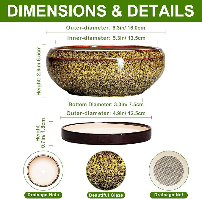 Small Bonsai Pots - 6 Inch Ceramic Succulent Planters with Drainage Hole and Saucer, Shallow Round Planter Indoor Outdoor, Cactus Succulent Pots, Living Room Decor, Plant Lover Gift, Yellow