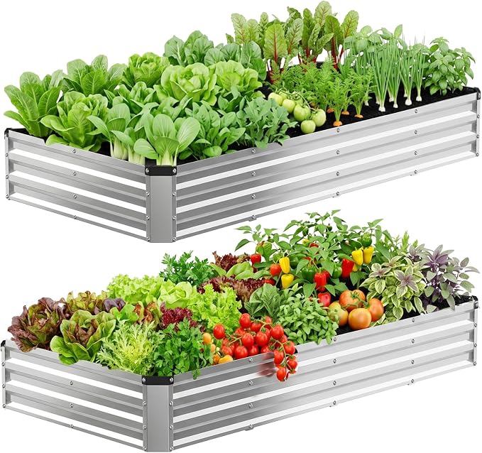 DUMOS Galvanized Raised Garden Bed Outdoor, 8x4x1ft 2 Pack Raised Metal Planter Box, Rust-Resistant Steel Garden Planter, Rectangular Gardening Flower Bed for Vegetables Flowers Herbs, Open Bottom