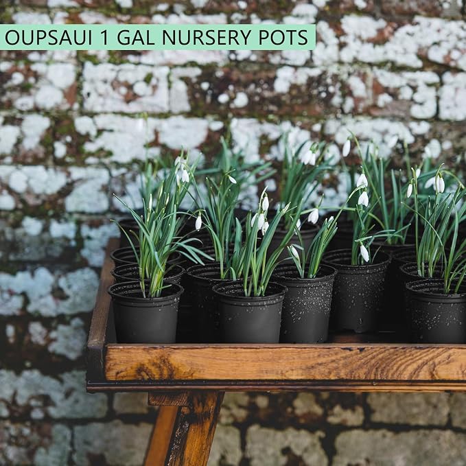 OUPSAUI 1 Gallon Pots for Plants,Flexible Gallon Plastic Nursery Pots with Drainage Holes, Plastic Pots for Outdoor Plants (1Gal-20pcs)