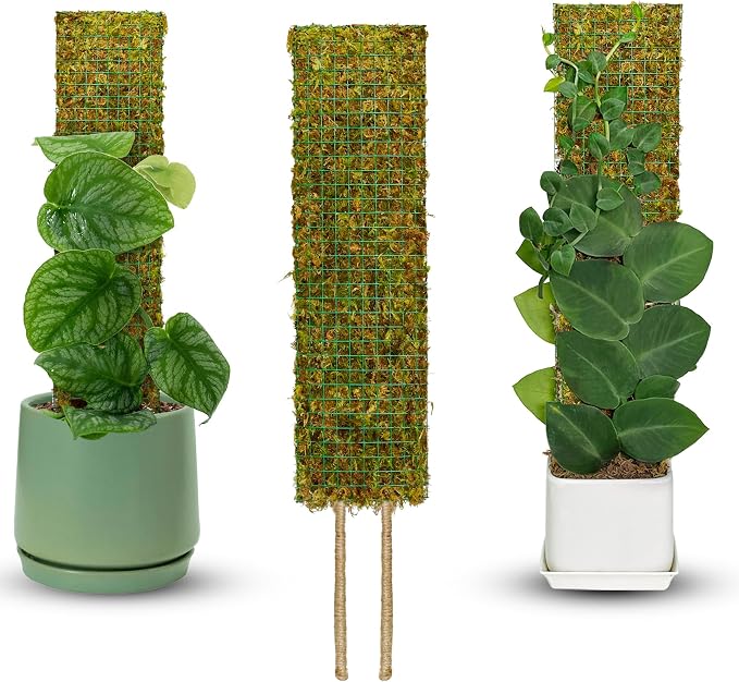 Flat Mesh Moss Pole for Climbing Plants Monstera, Moss Pole for Plants with Real Moss, Moss Plant Pole for Potted Plants, Handmade Moss Stick for Indoor Plants Grow Upward, 1 Pack 22”
