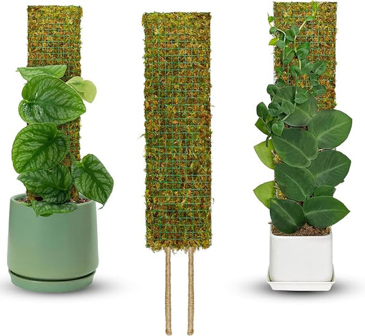 Flat Mesh Moss Pole for Climbing Plants Monstera, Moss Pole for Plants with Real Moss, Moss Plant Pole for Potted Plants, Handmade Moss Stick for Indoor Plants Grow Upward, 1 Pack 22”