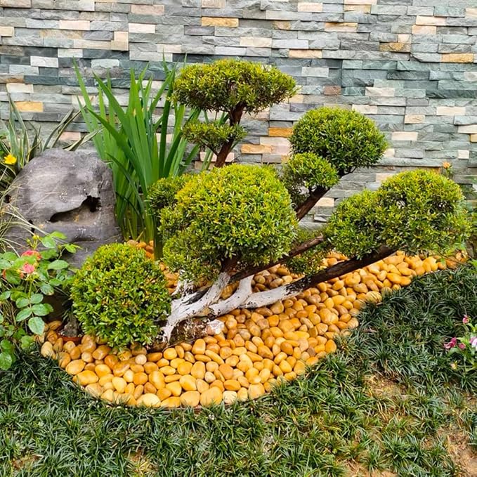 YISZM Rocks for Plant 2lbs, Yellow River Rocks 1-2 Inch Natural Pebbles for Indoor Plants, High Polished Decorative Stones Vase Filler Fish Tank Aquariums Landscaping Garden