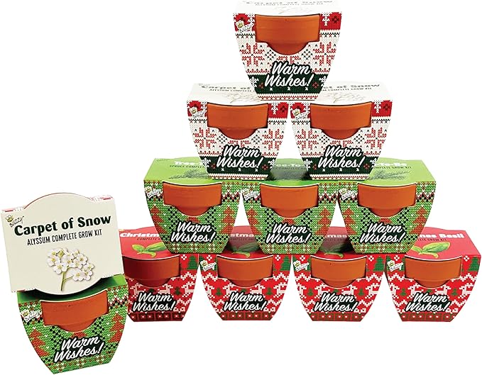 Buzzy Seeds Sweater Pattern Holiday Grow Kit 12-Pack - Mini Terracotta Pot Grow Set - Complete Indoor/Outdoor Gardening Kit with Seeds, Coconut Husk Growing Medium & Genuine Pots - 100% Grow Guarantee