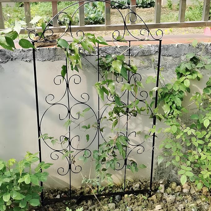 Thealyn Garden Trellis 2 Pack 80 Inch.H x 22 Inch.W Heavy-Duty Climbing Plant Trellis Metal Plant Supports Suitable Supporting Climbing Plants Outdoor, Roses, Vegetables, Vines, Flowers