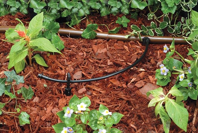 Rain Bird T22-100S Drip Irrigation 1/4" Blank Distribution Tubing, 100' Roll, Black