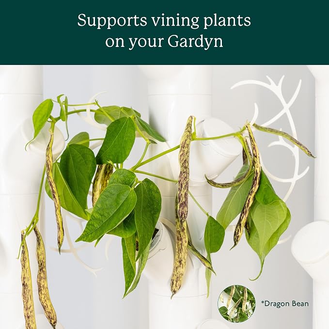 Gardyn Trellis - 10 Pack, Supports Vining Indoor Plants | Hydroponics growing system accessory for use with all Gardyn vertical indoor garden systems and tower gardens