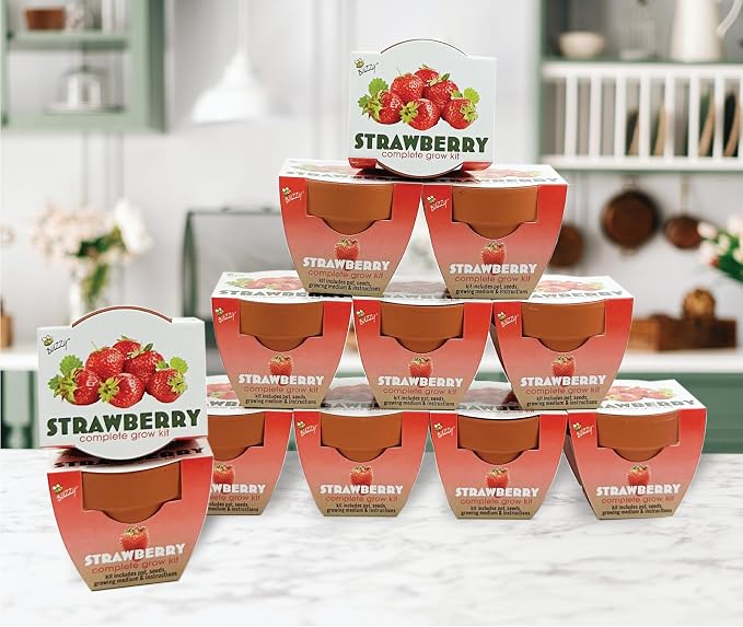 Buzzy Seeds Alpine Strawberry Grow Kit 12-Pack - Mini Terracotta Pot Grow Set - Complete Indoor/Outdoor Gardening Kit with Seeds, Coconut Husk Growing Medium & Genuine Pots - 100% Grow Guarantee