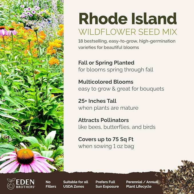 Eden Brothers Rhode Island Wildflower Mixed Seeds for Planting, 1 oz, 30,000+ Seeds with WallFlower, Sunflower | Attracts Pollinators, Plant in Spring or Fall, Zones
