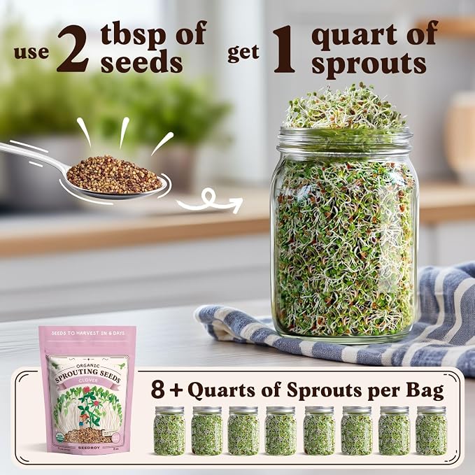 Seedboy Organic Non-GMO Clover Seeds for Sprouting - USA Grown Microgreens Sprouting Seeds - 8 oz Bag Makes 8 Quarts / 32 Servings (Red Clover)