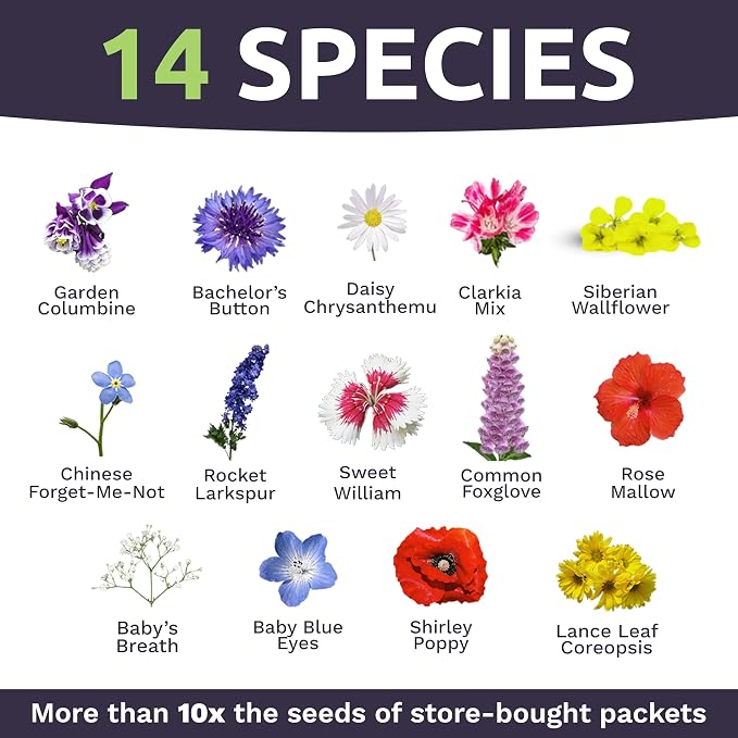 Bulk Wildflower Seeds Partial Shade Mix - 1/4 Pound Bag Over 30,000 Open Pollinated Annual and Perennial Seeds