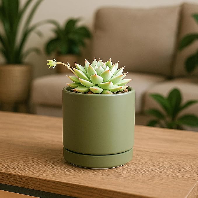 D'vine Dev 3.5 Inch Ceramic Planter Pot with Drainage Hole and Saucer, Indoor Cylinder Round Planter Pot, Olive, 94-O-A-J