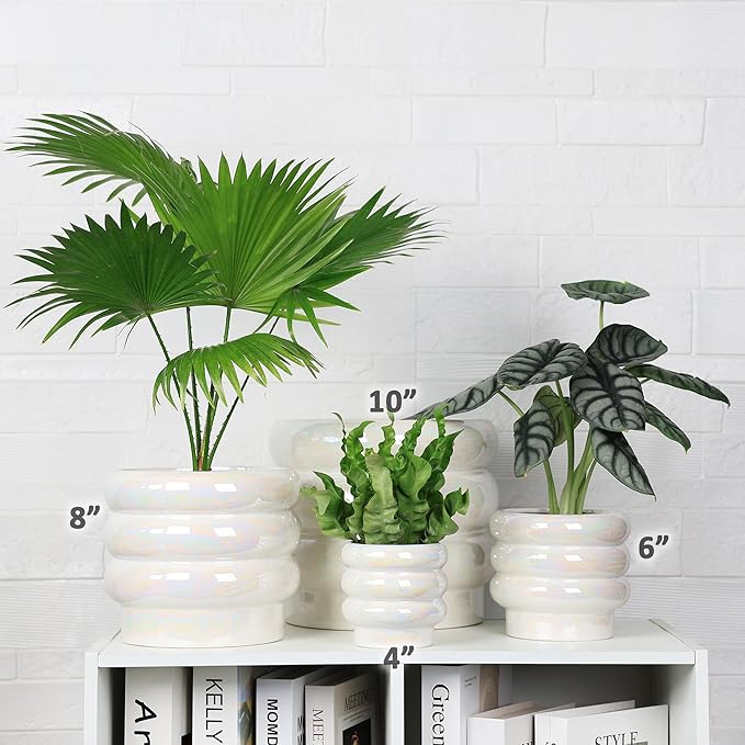 10 inch Ceramic Plant Pots for Indoor Plants, Rainbow Pearl Glaze Planter with Planters for Plants with Drainage Hole, Orchid Pots, Succulent Pot, Large Flower Pot (White)