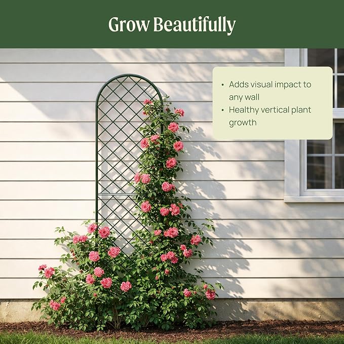 Vego garden Metal 23" x 78" Garden Mounted Wall Trellis 2 Pack for Climbing Plants Flowers Vegetables Planting Arched Outdoor Decoration for Courtyards Lawns Gardens
